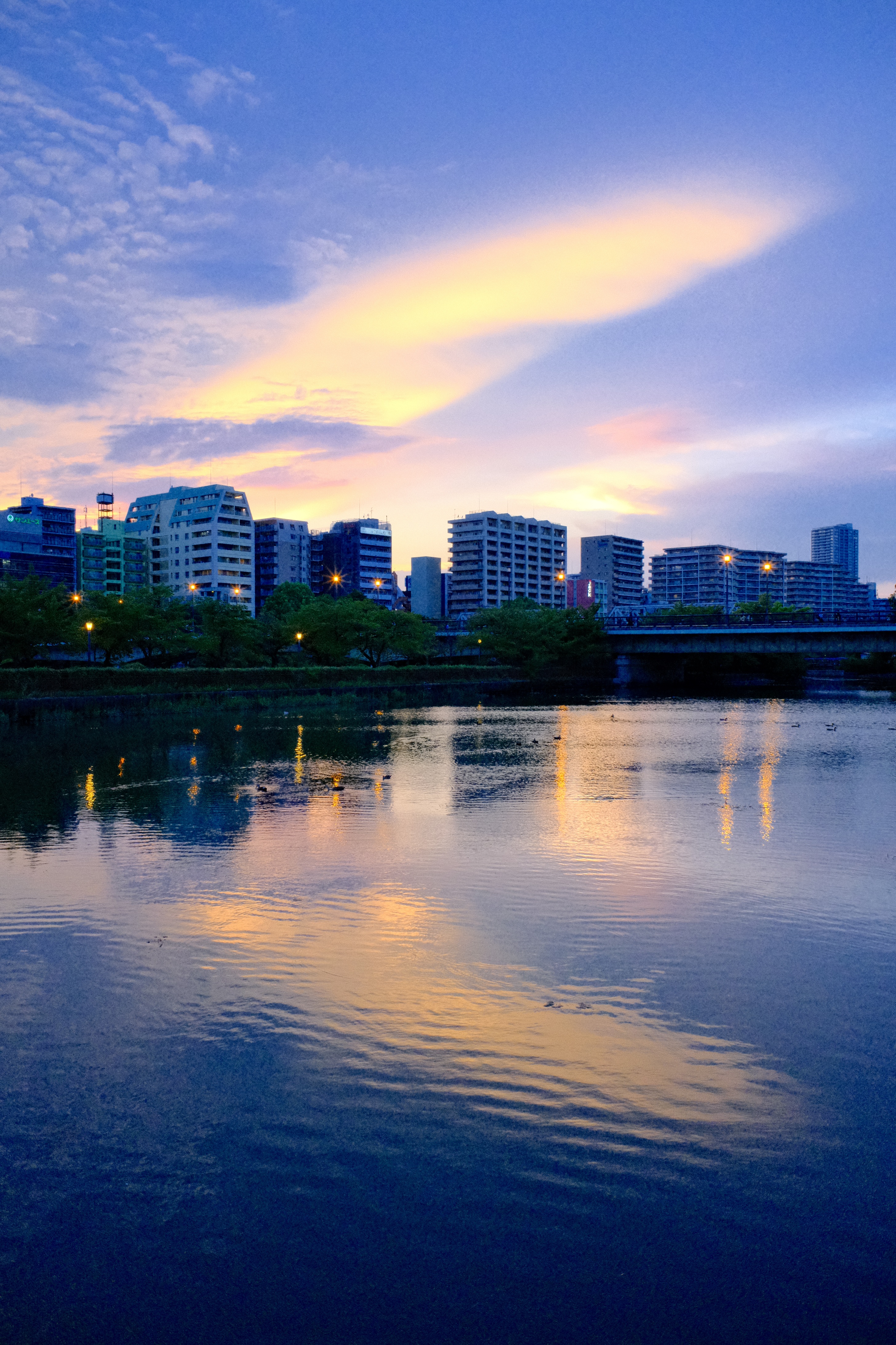 SNS（Instagram）部門の特別審査員賞の大賞作品