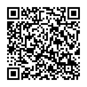 申し込みフォームQRコード