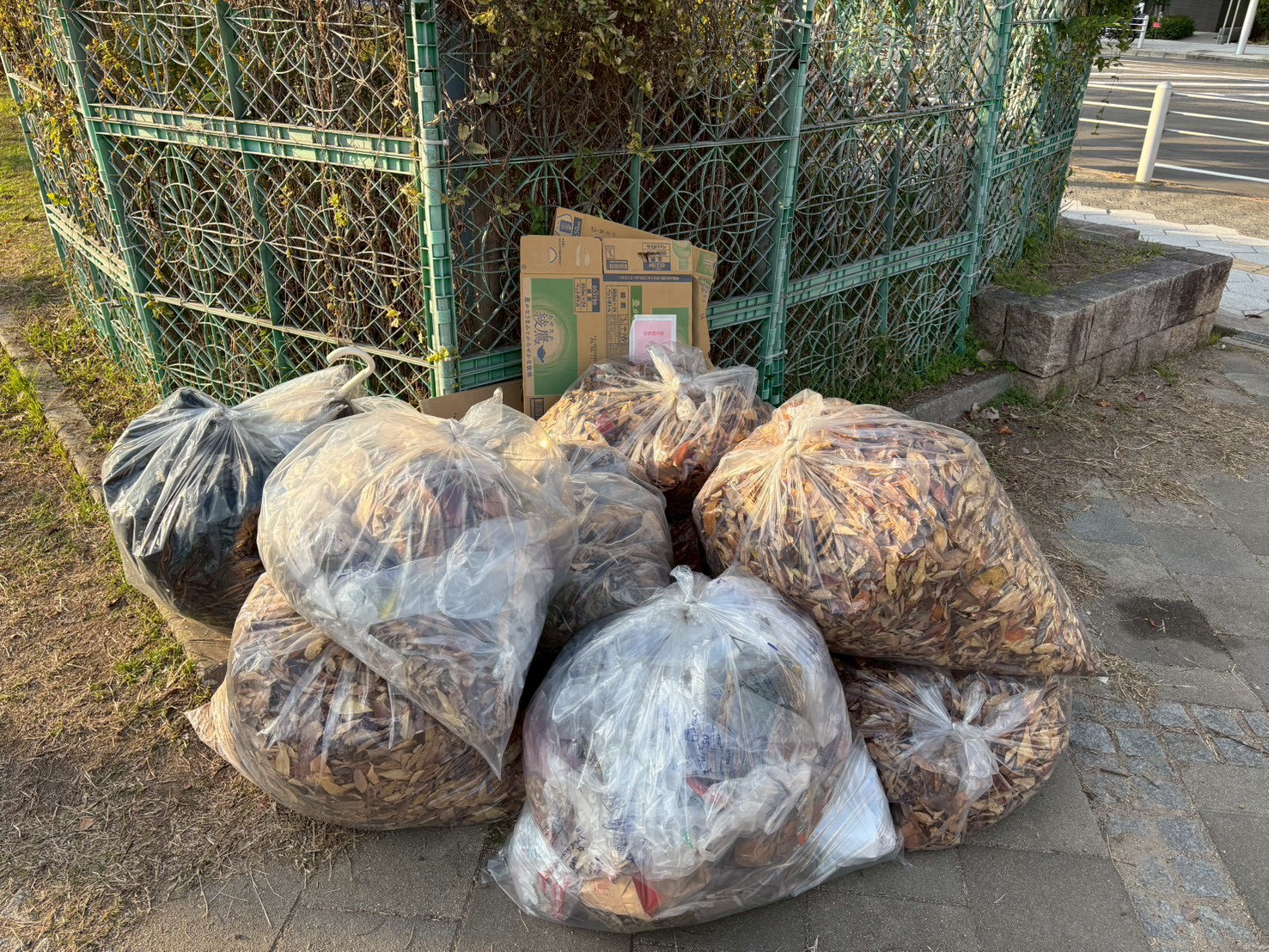 集まったごみの写真