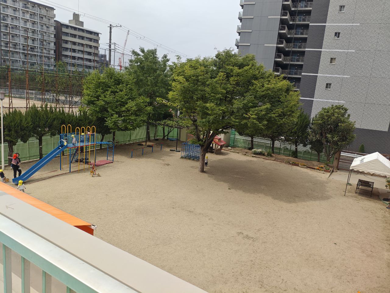 園庭と遊具