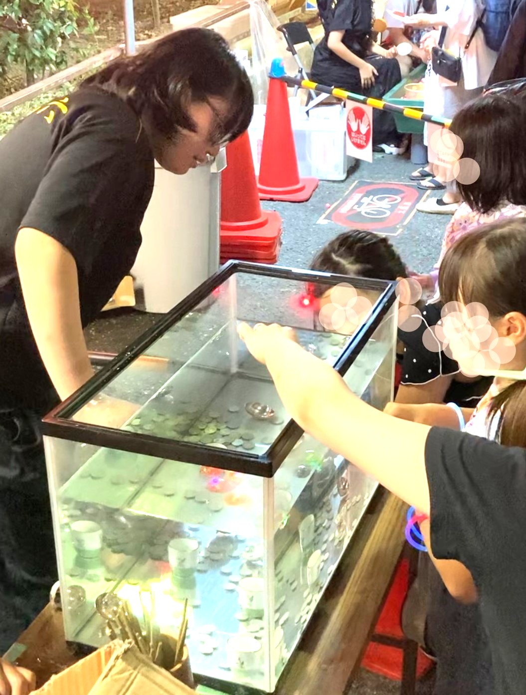 コイン落としの様子