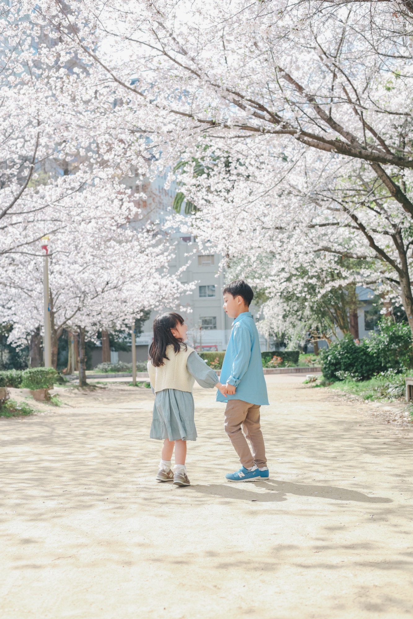桜並木の下でお互いを見ながら手をつなぐ兄妹の写真