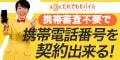 だれでもモバイル株式会社
