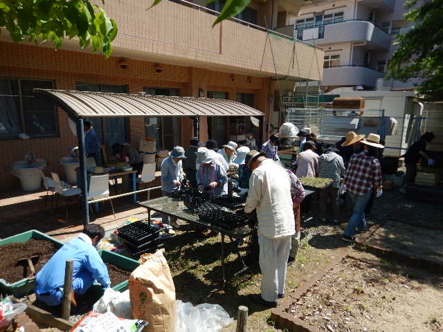 南津守ミニ花づくり広場の様子
