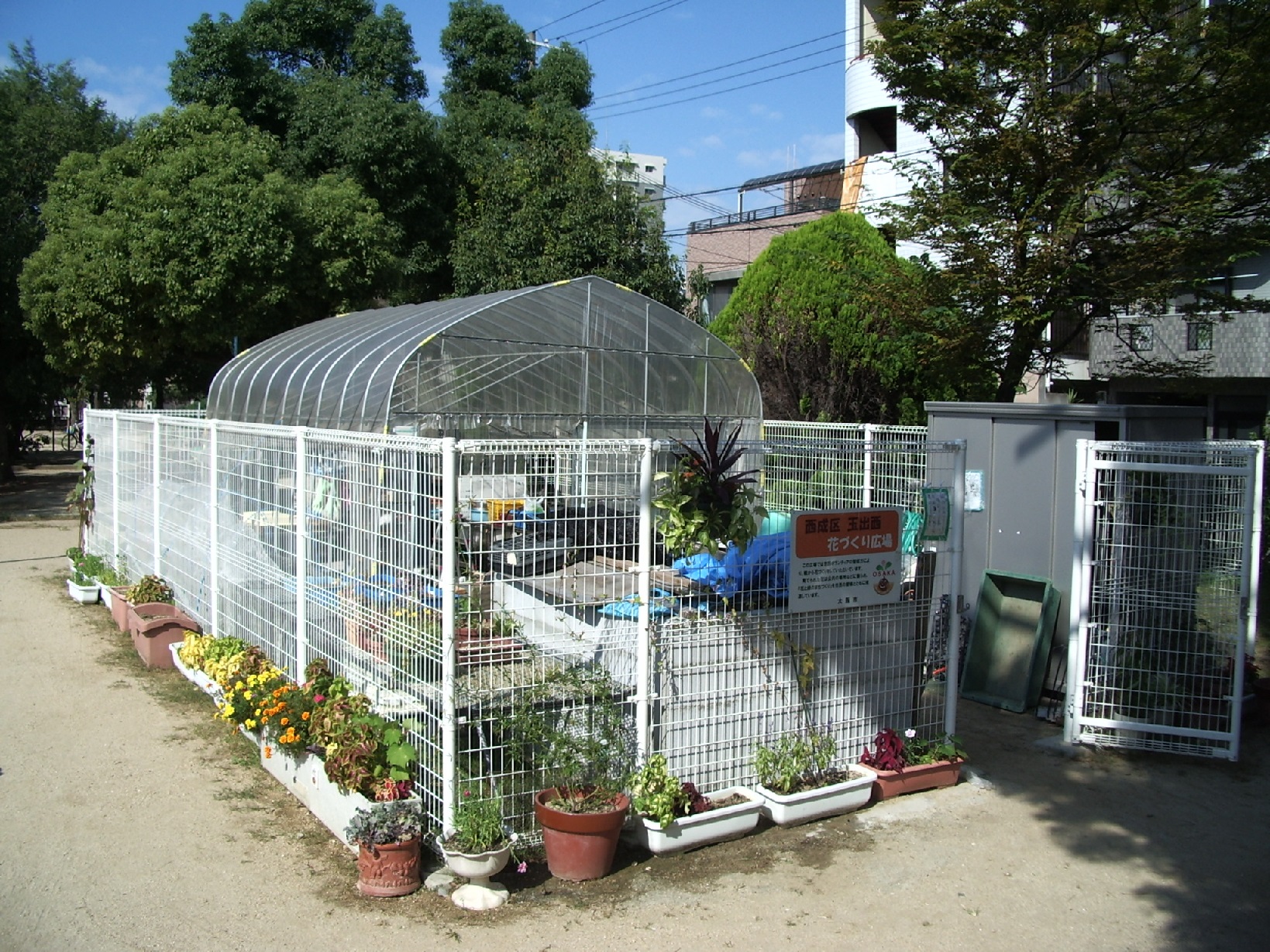 玉出ミニ花づくり広場の様子