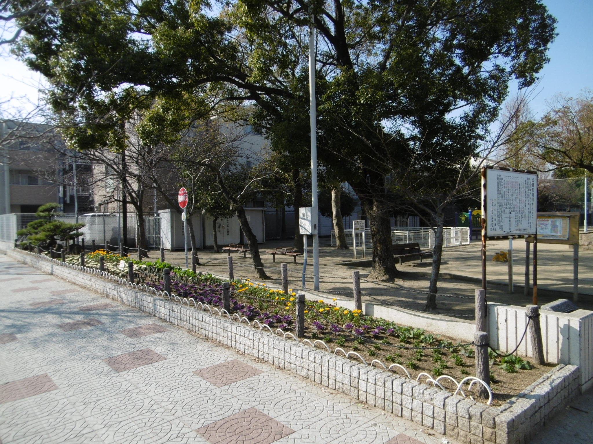 公園に植えられたお花