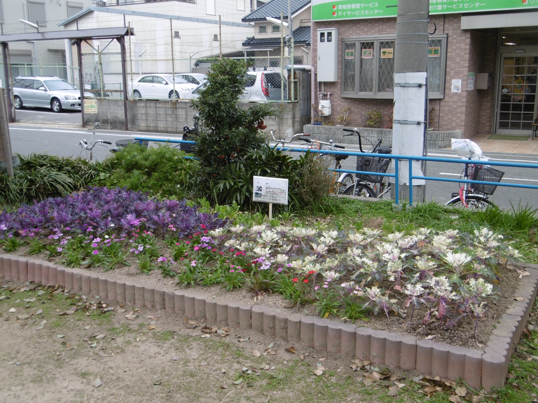 公園の花壇