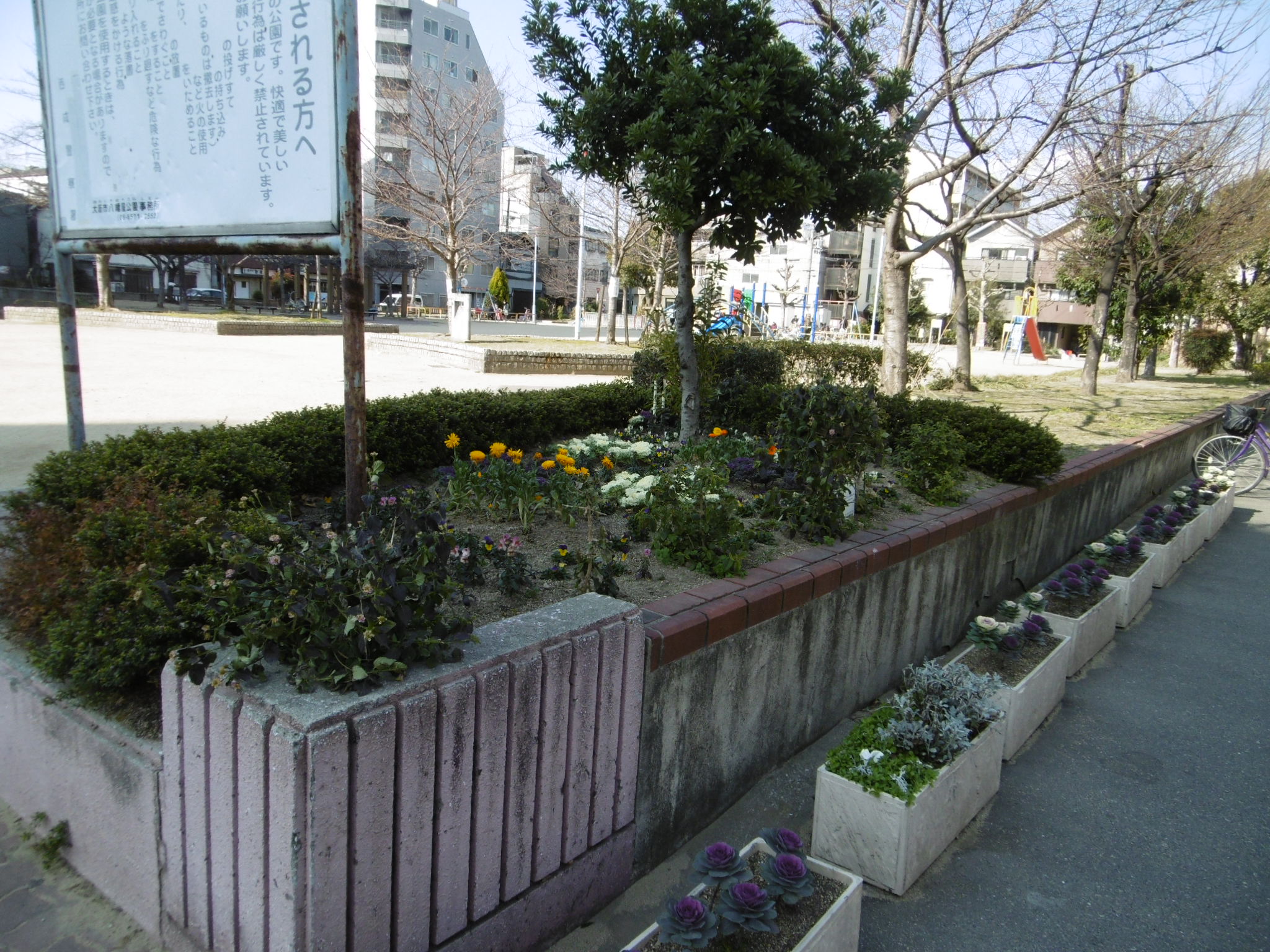 公園のプランター