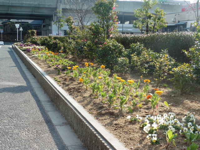 沿道の花壇