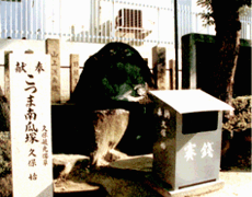 こつまなんきん