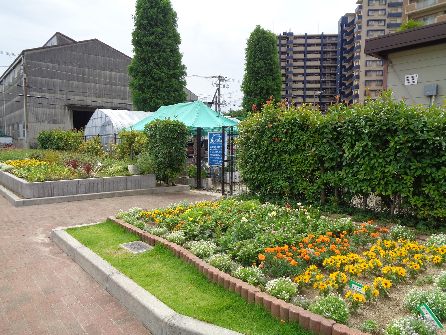 公園側の入り口です。