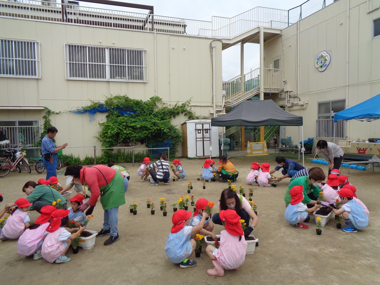 区内保育施設で園児向けの花育活動を実施しています。