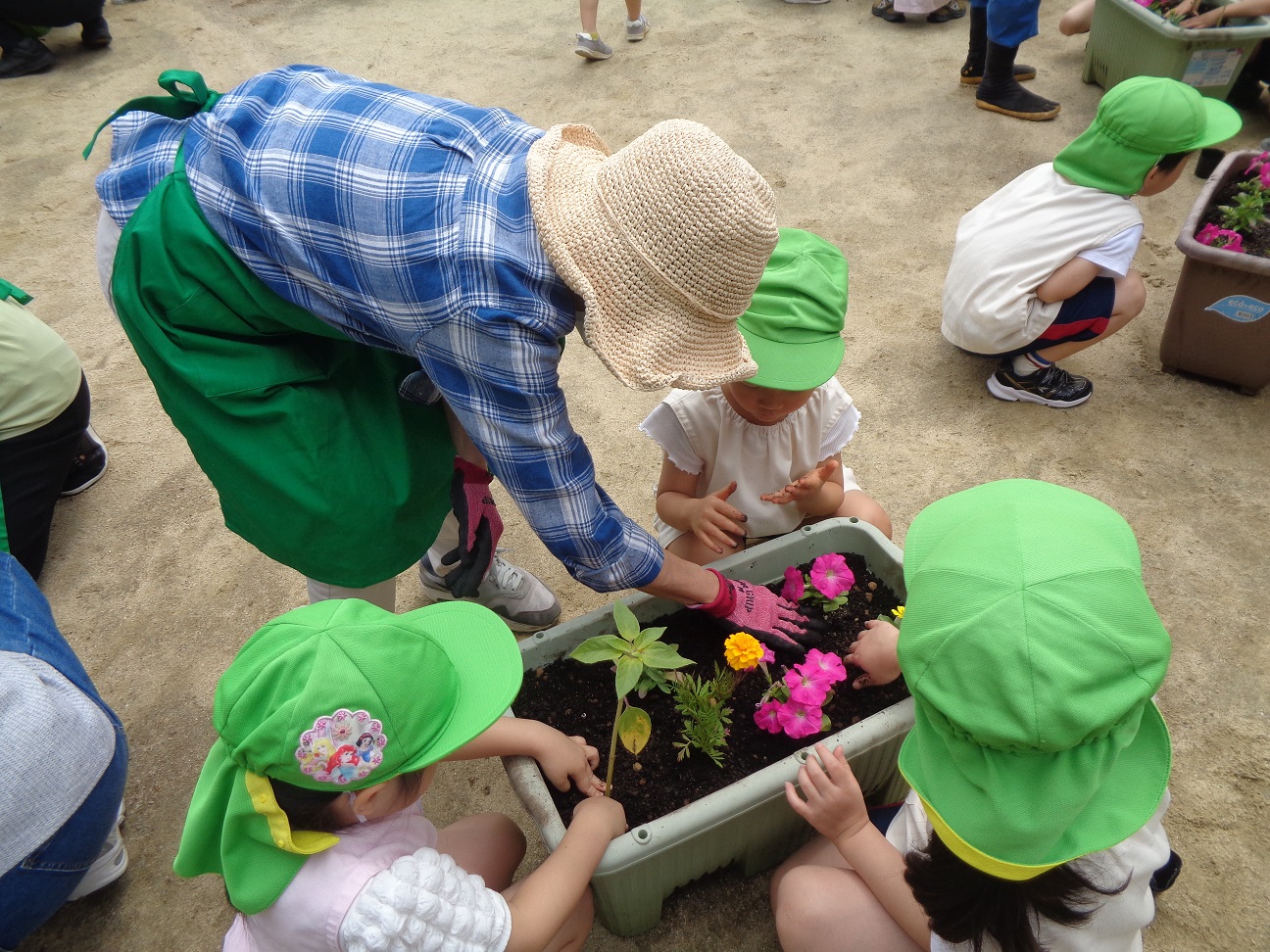 西淀川区緑化ボランティアさんと園児さんがプランターにお花を植えながらお話している様子