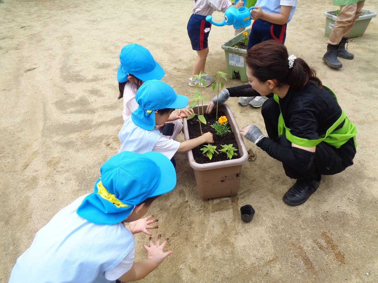 西淀川区緑化ボランティアさんと園児さんがプランターにお花を植えお花を植えお話している様子