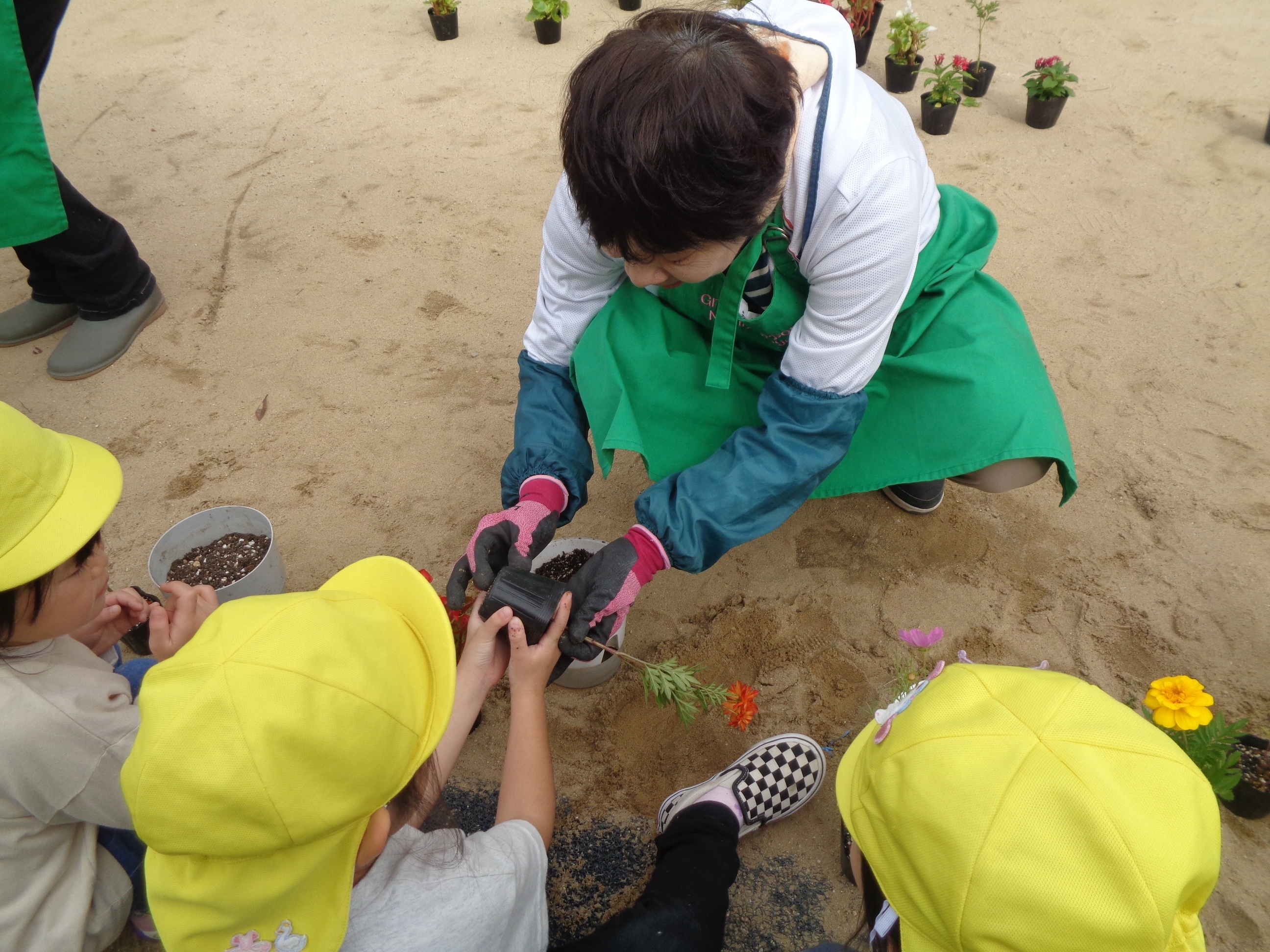 西淀川区緑化ボランティアさんが園児さんと一緒にお花を植えている様子