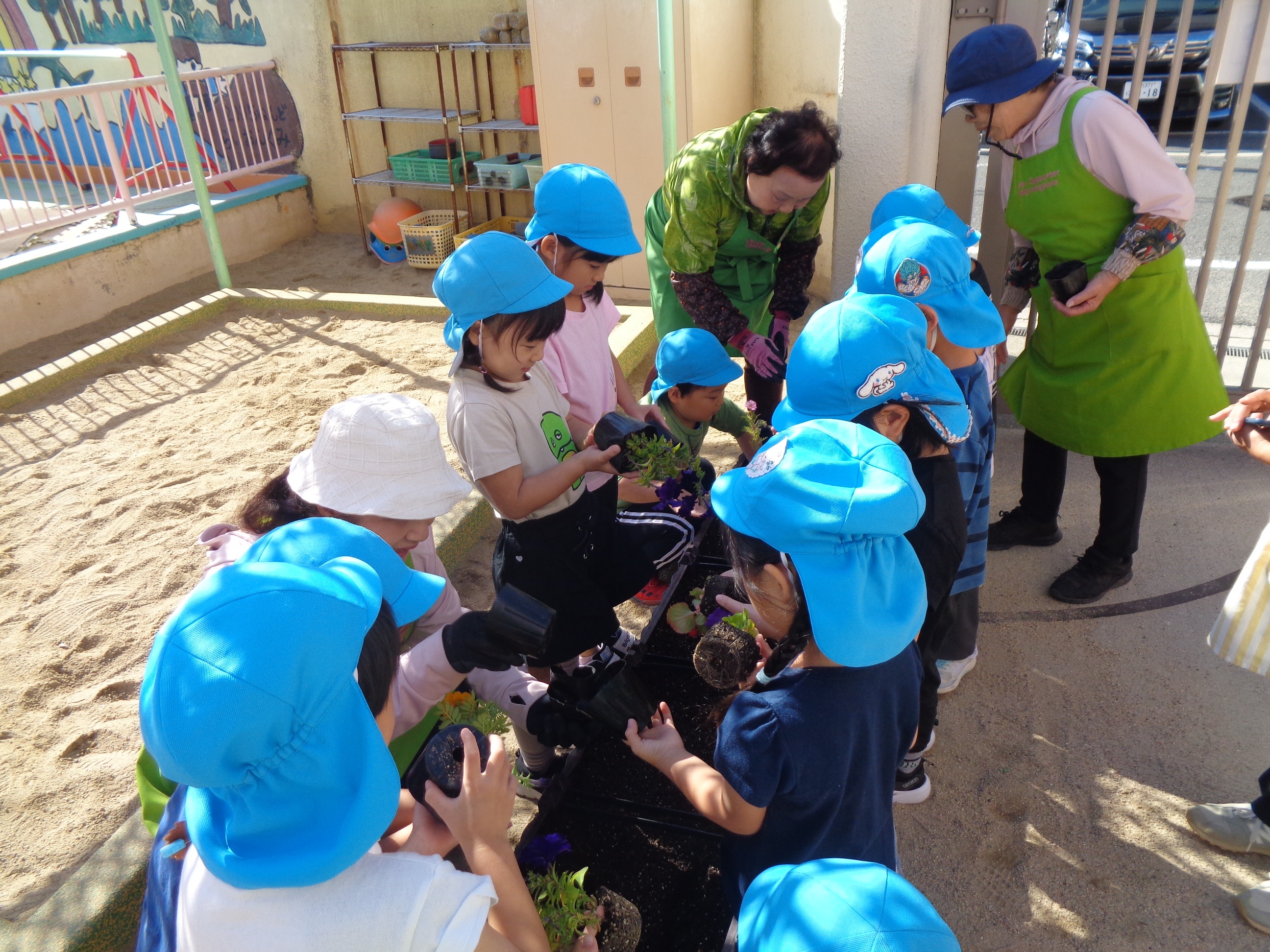 西淀川区緑化ボランティアさんと園児さんが一緒にお花を植えている様子