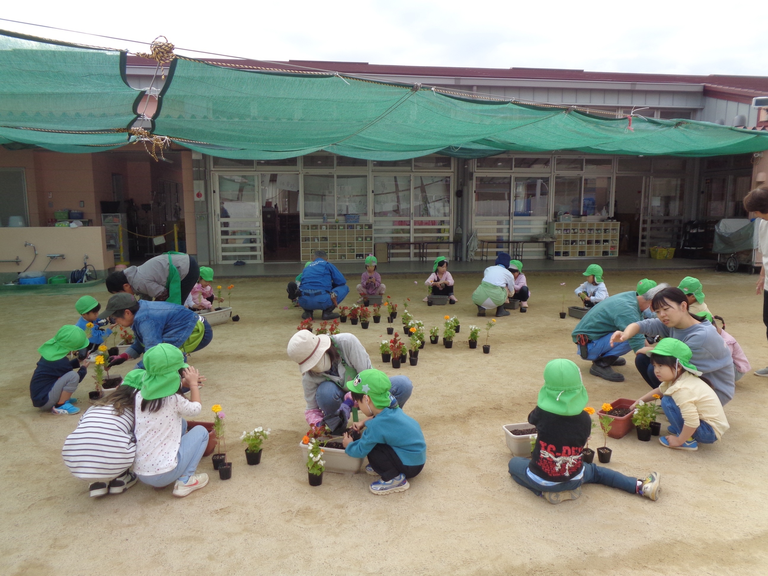 全員で輪になってプランターに花苗を植えている様子