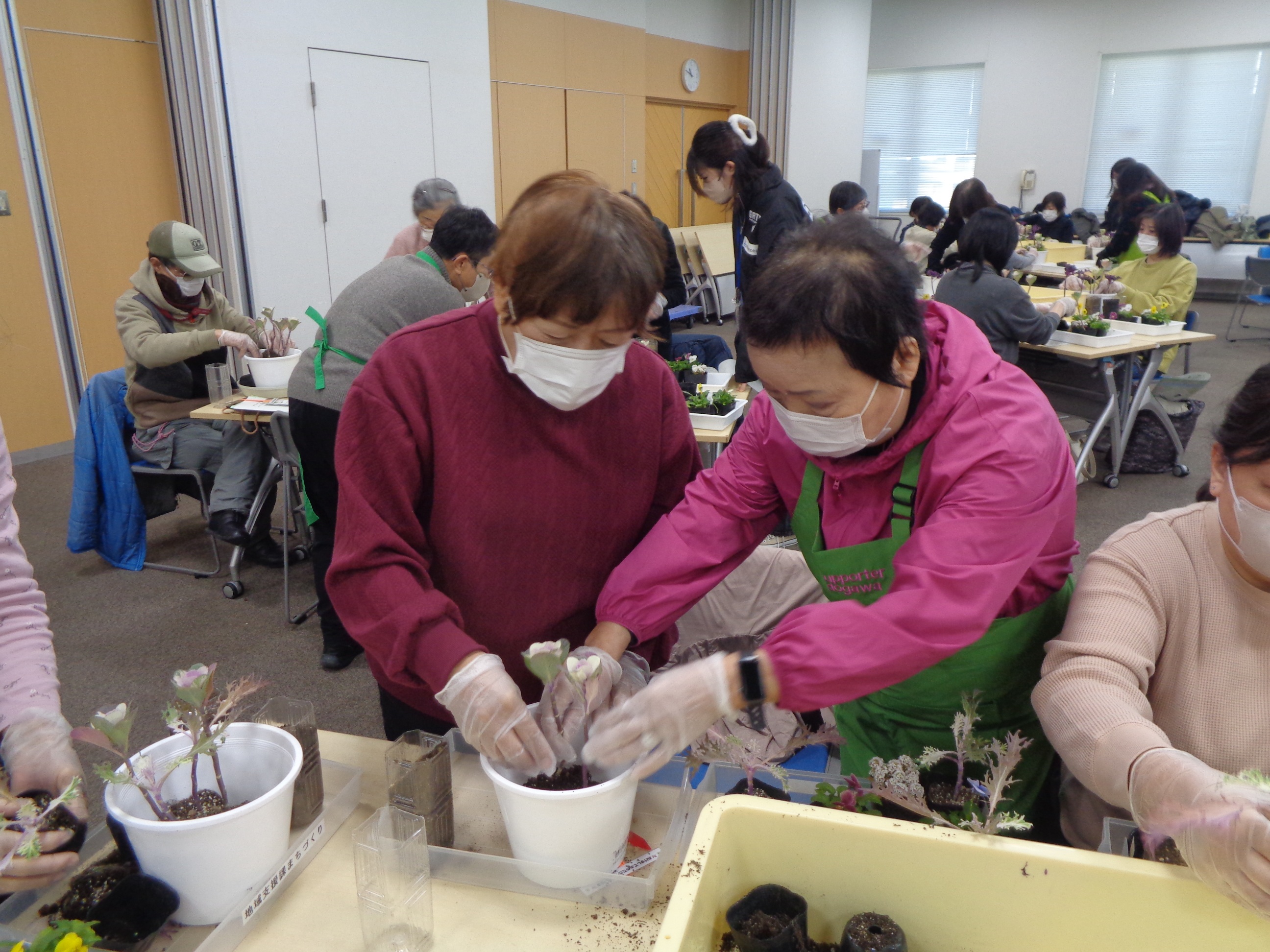 西淀川区緑化ボランティアさんが寄せ植え実習の補助として付き添っている様子