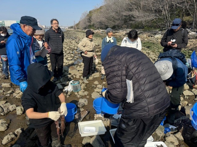干潟の生き物の講義