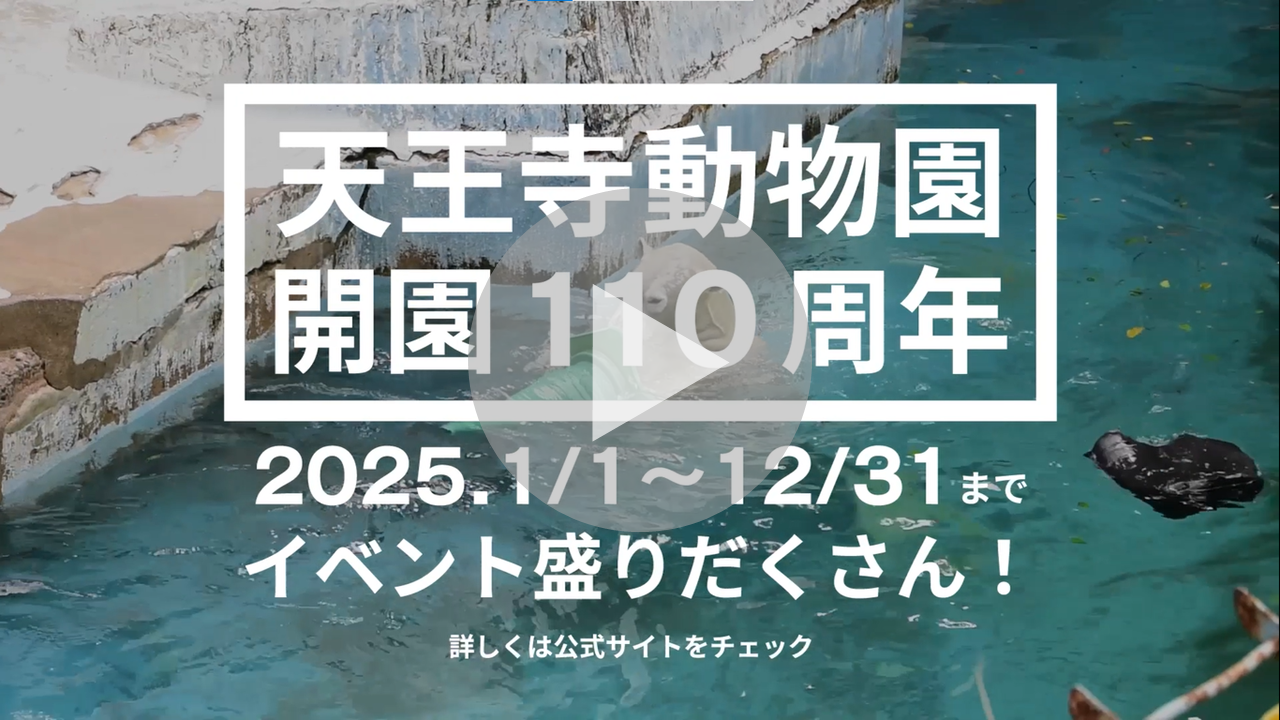 天王寺動物園　開園110周年スペシャルムービーへのリンク