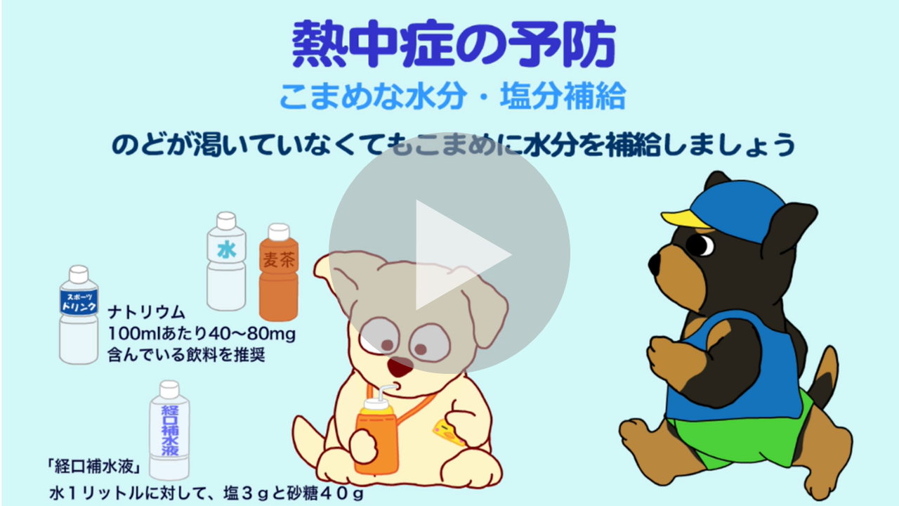 予防救急に関する動画へのリンク