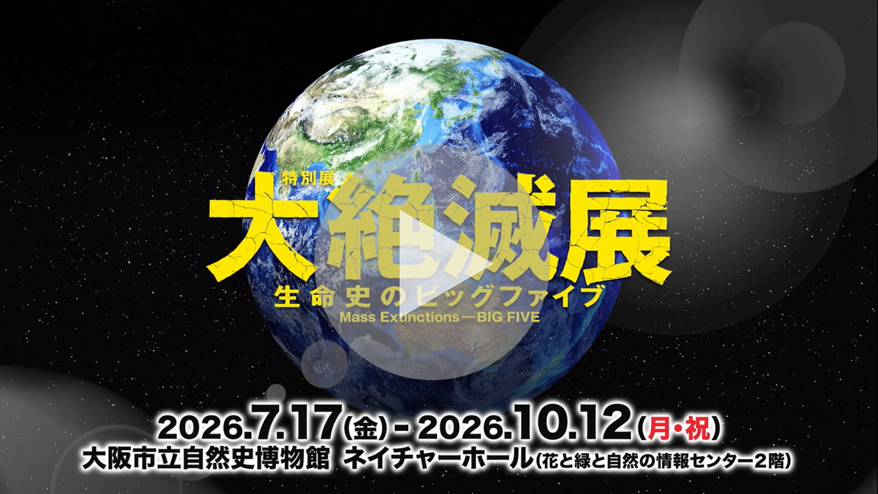 特別展「大絶滅展－生命史のビッグファイブ」に関する動画へのリンク