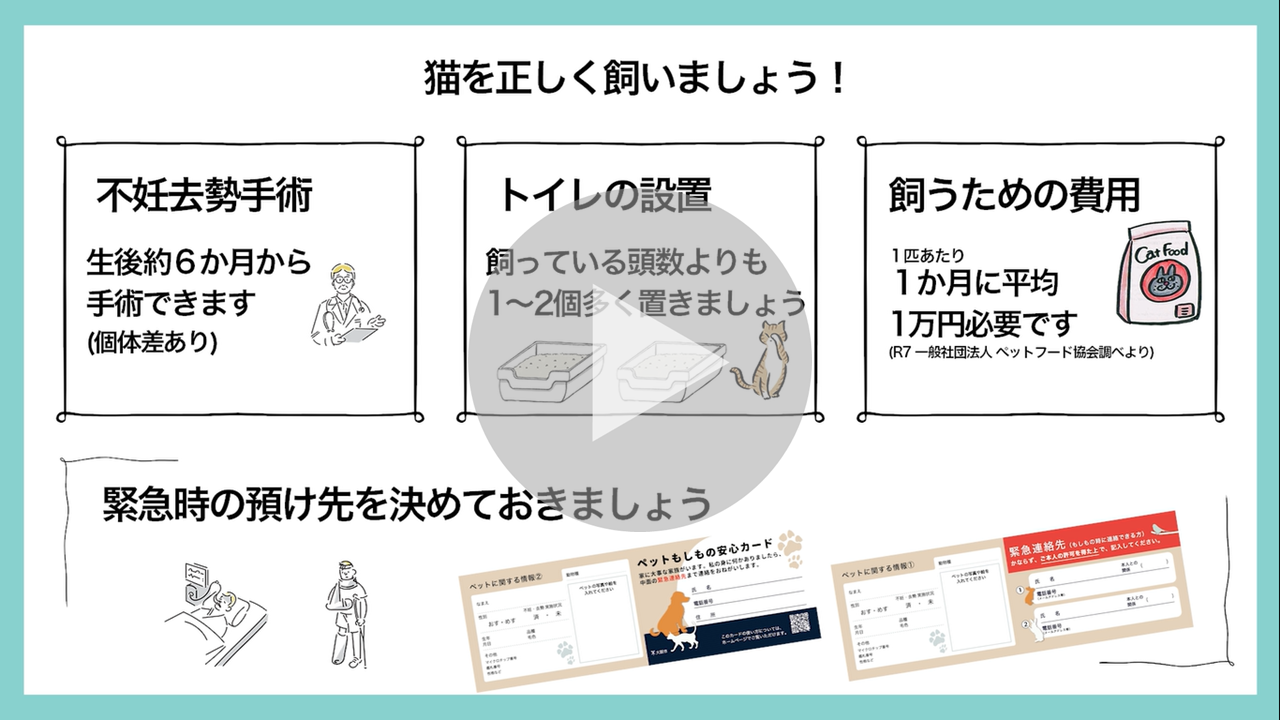飼い猫の多頭飼育崩壊防止及び高齢者向けペット飼養啓発についてに関する動画へのリンク