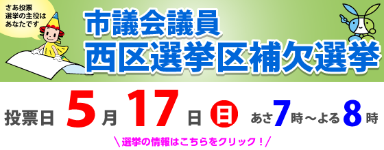 R8西区補選