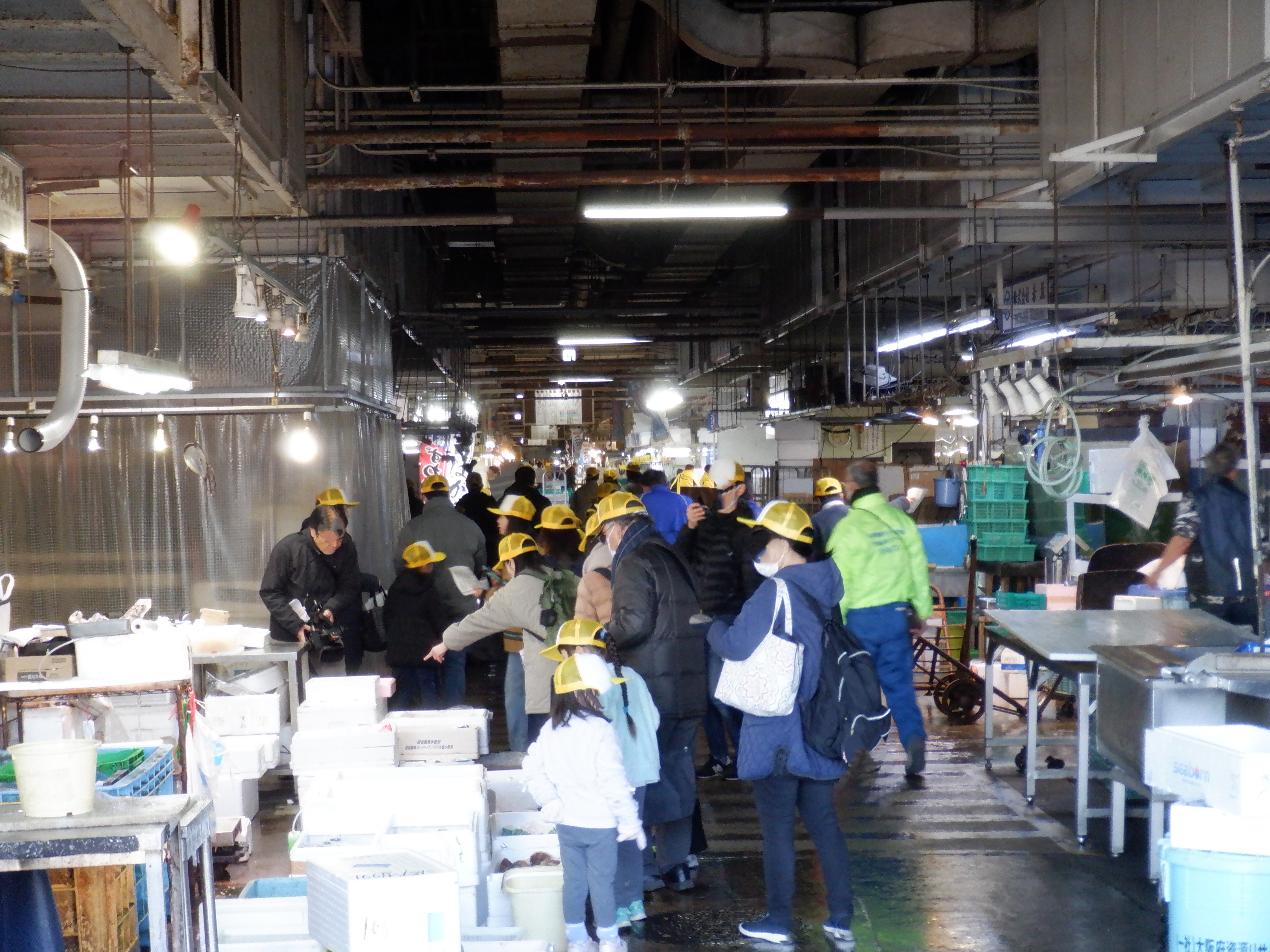 仕入れ体験の様子の写真