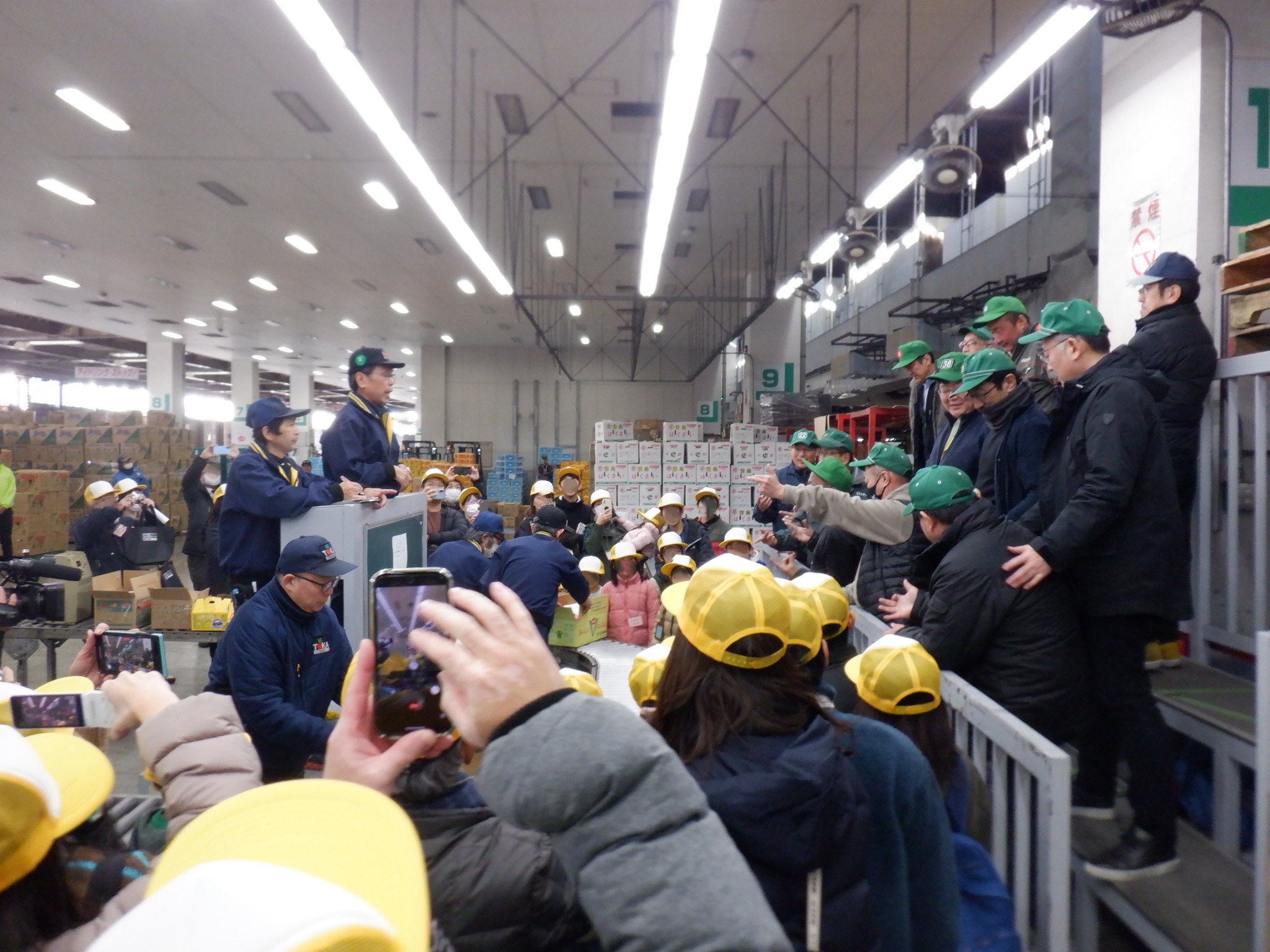 せりの見学の写真