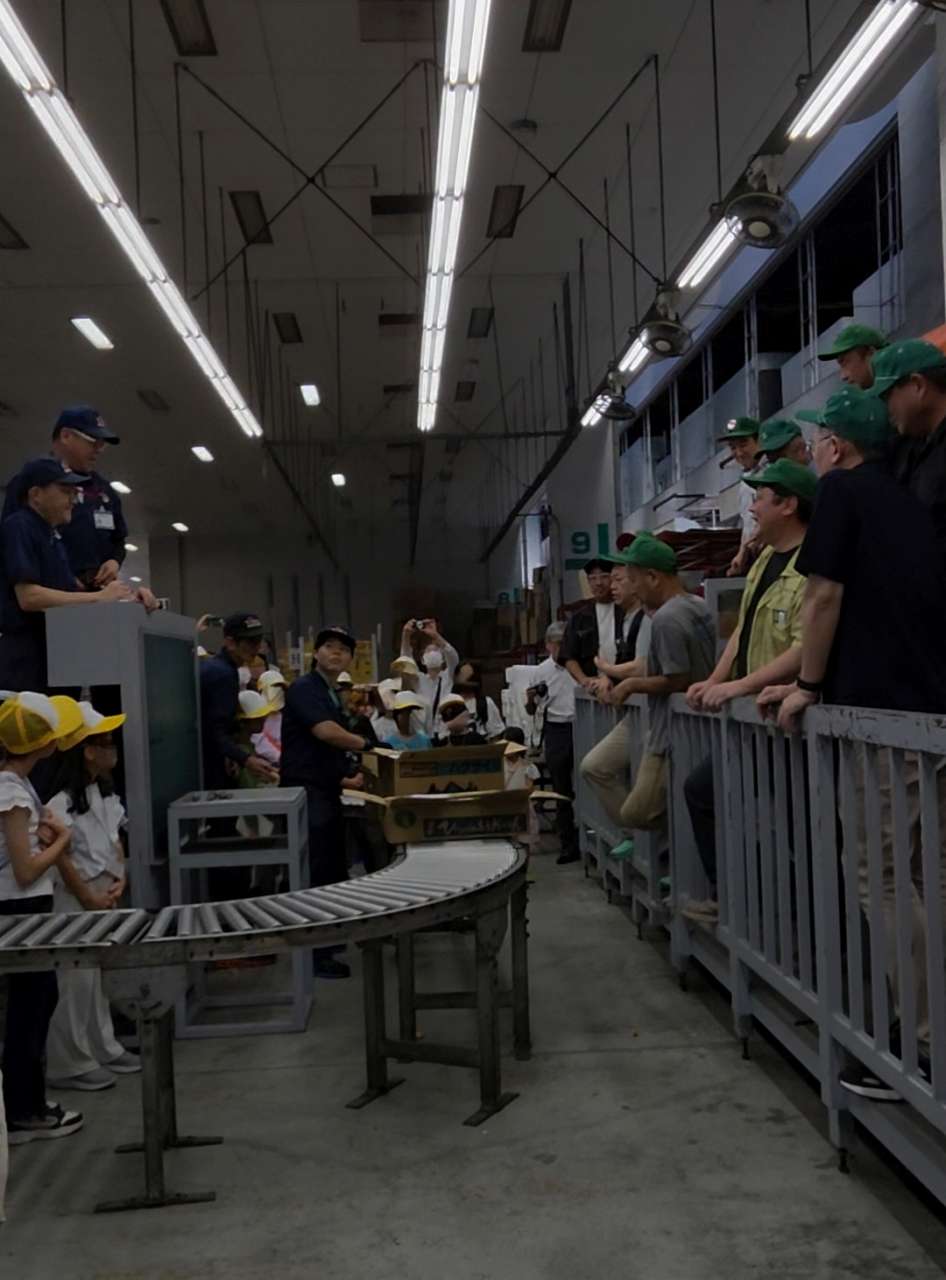 せりの見学の写真