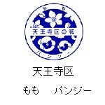 天王寺区の花　パンジー