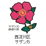 西淀川区の花　サザンカ