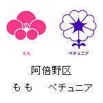 阿倍野区　もも　ペチュアニア