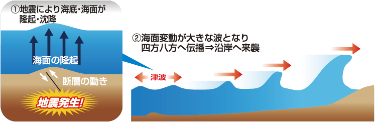 地震の発生により断層に動きが生じ、海底と海面の隆起が起こっているイラストと、海面変動が津波を引き起こし、大きな波が沿岸へ来襲する様子のイラスト。