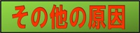 その他の原因