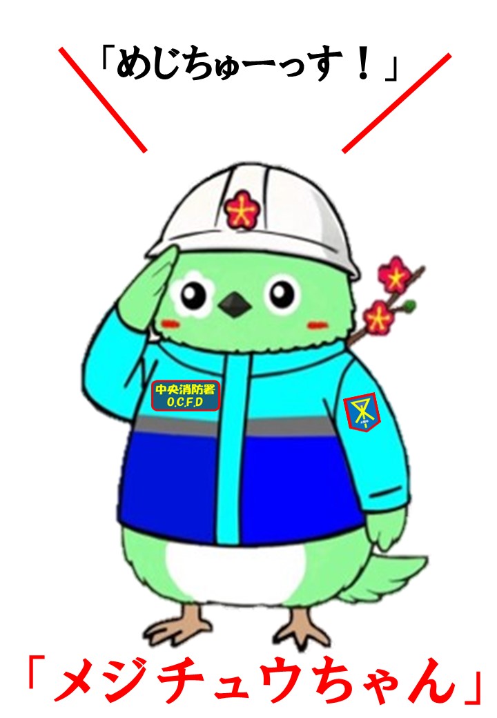 メジチュウちゃんの画像が掲載されています