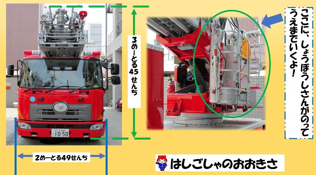 はしご車のはばと高さとバスケットの写真