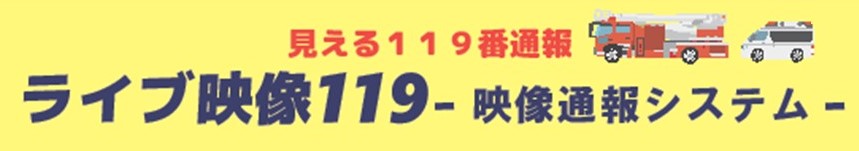 ライブ映像119
