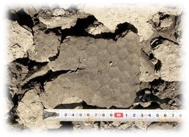 加圧脱水した土の様子
