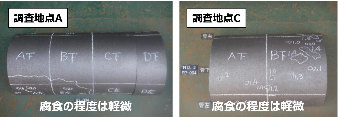 調査地点A及びCの管体サンプル（表面処理後）の写真