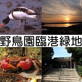 大阪南港野鳥園