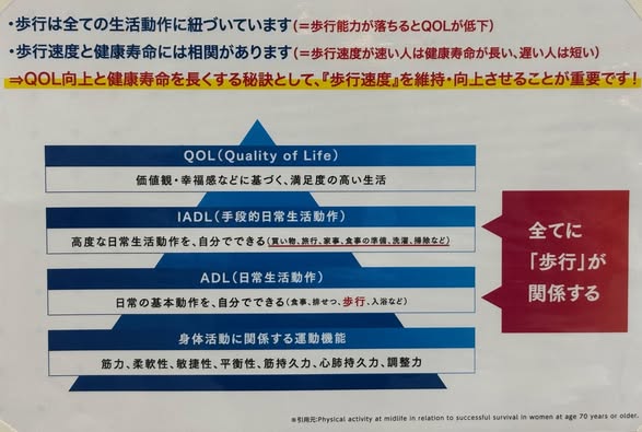 歩行についての説明文