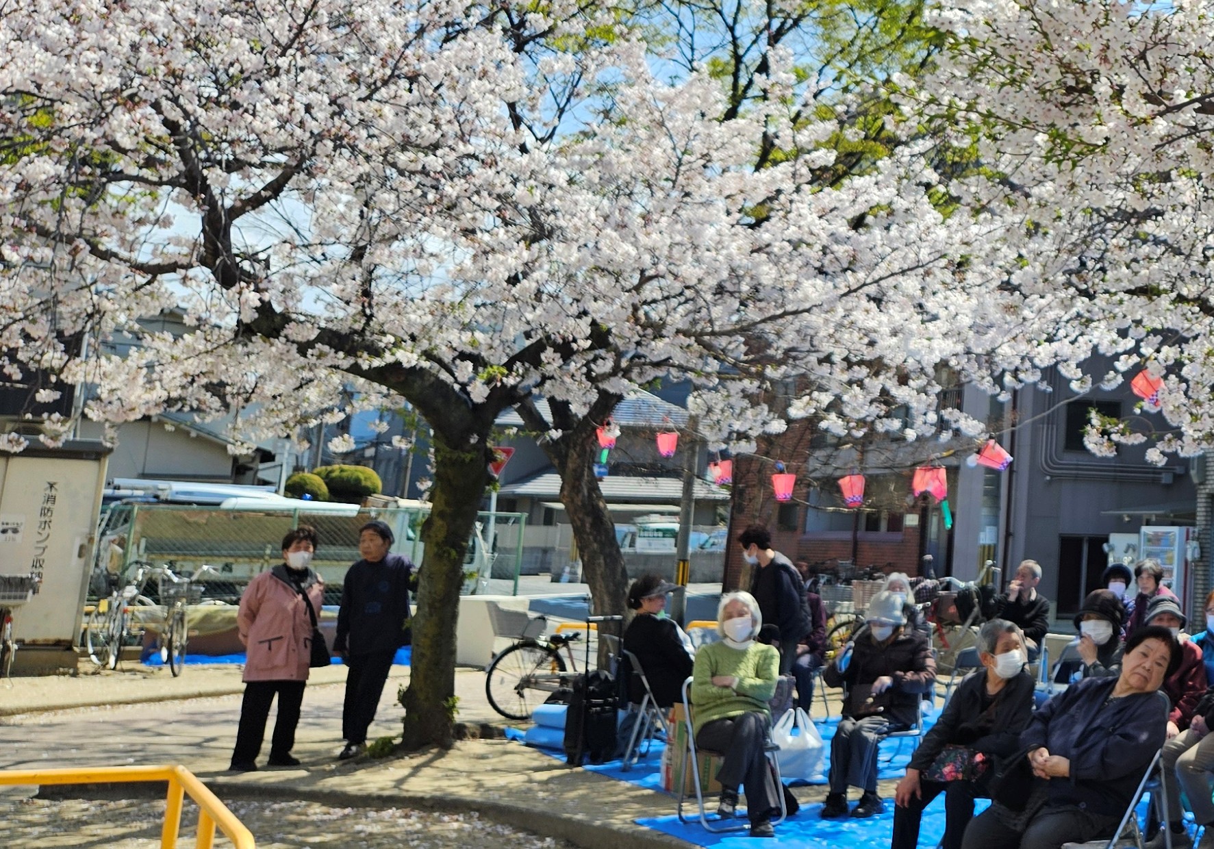 住吉川ふれあい桜まつり