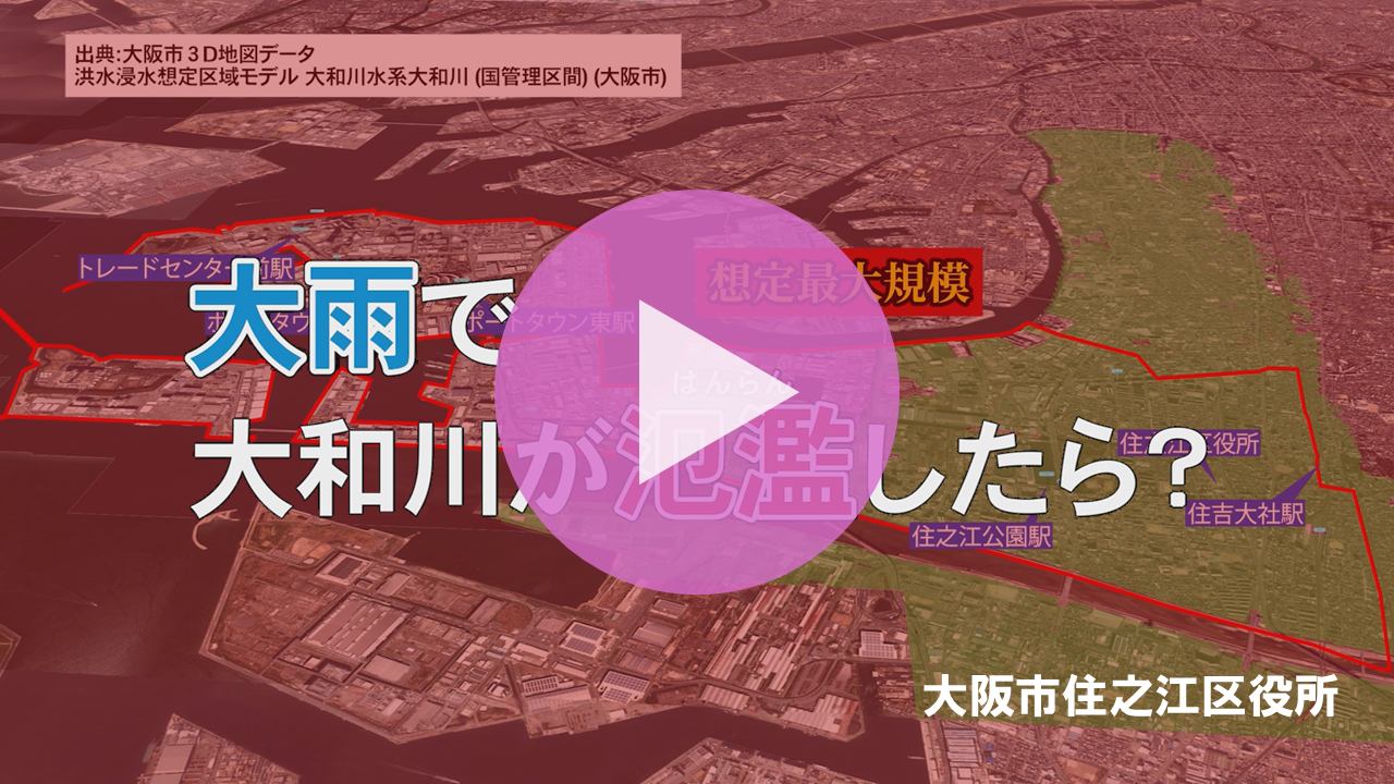 動画
