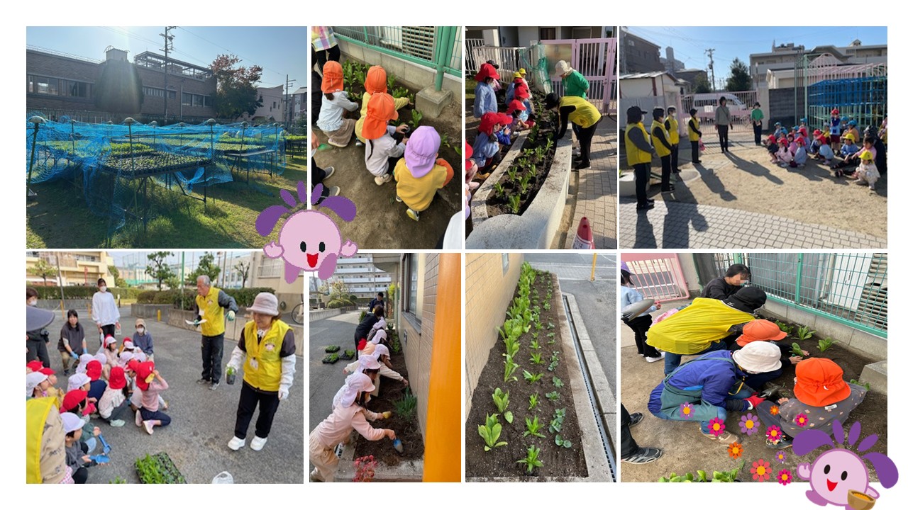 秋の花苗配布植え付け風景