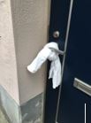 安否確認用タオル写真