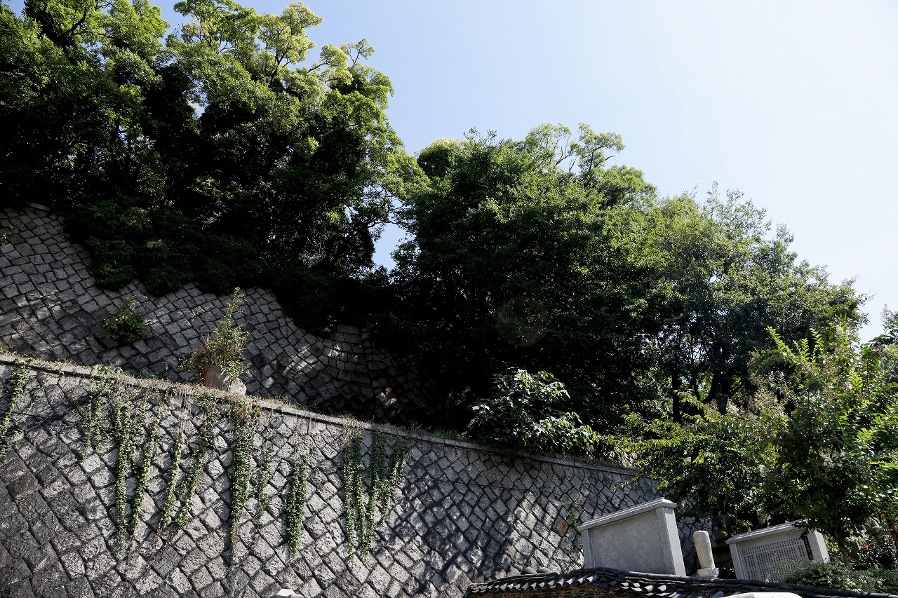 生國魂神社西側写真