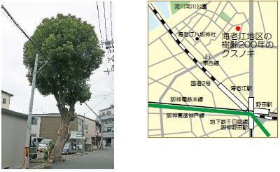 大阪市 福島区の都市景観資源 わがまちナイススポット 都市景観 都市景観資源