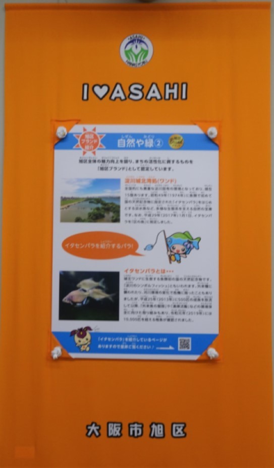 旭区まち魅力_タペストリー(淀川城北ワンド)